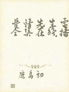 爱情先生电视剧全集在线播放