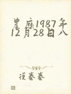 农历1987年12月28日八字解析