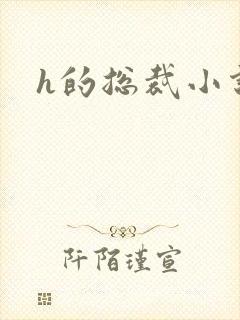 h的总裁小说