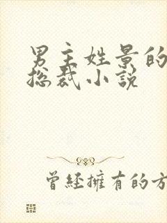 男主姓景的霸道总裁小说