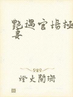 艳遇官场极品人妻