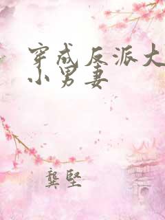 穿成反派大佬的小男妻 穿成反派大佬的小男妻