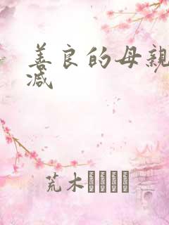 善良的母亲无删减