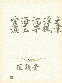 官海沉浮之美人泪王子枫袁雯洁