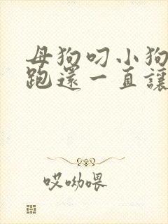 母狗叼小狗到处跑还一直让小狗叫