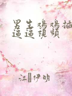 男生鸡鸡插女生逼逼视频