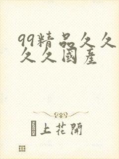99精品久久久久久国产