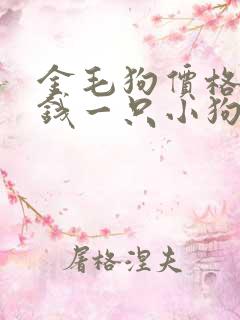 金毛狗价格多少钱一只小狗