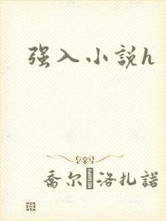 强入小说h