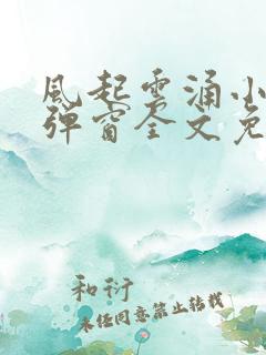 风起云涌小说无弹窗全文免费阅读