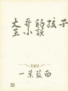大哥的孩子双男主小说