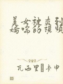 美女被爽到呻吟娇喘的视频