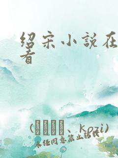 绍宋小说在线观看