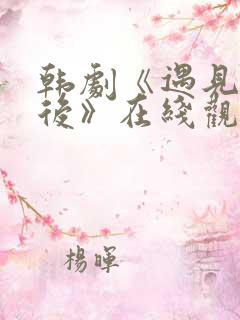 韩剧《遇见你之后》在线观看