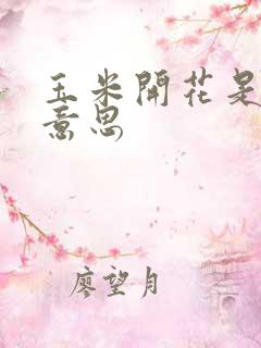 玉米开花是什么意思