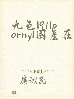 九色|91|porny|国产在线观看