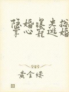 隐婚曝光总裁的掌心宠逃婚了贺聿舟小说