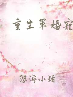 重生军婚宠文