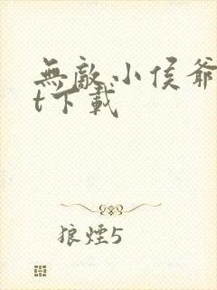 无敌小侯爷txt下载
