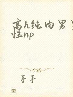 高h纯肉男男双性np