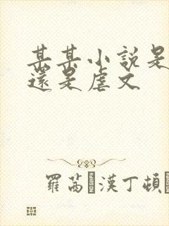 某某小说是甜文还是虐文