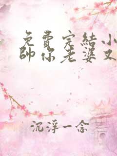 免费完结小说少帅你老婆又跑了