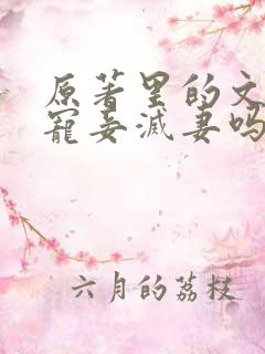 原著里的文炎敬宠妾灭妻吗