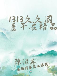 1313久久国产午夜精品理论片