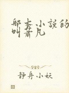 哪本小说的主角叫萧凡