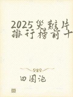 2025灾难片排行榜前十名电影