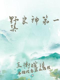 野良神第一季全集