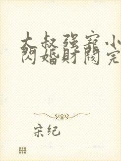 大叔强宠小娇妻闪婚财阀完整