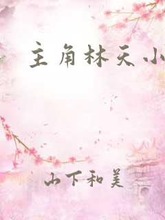 主角林天小说