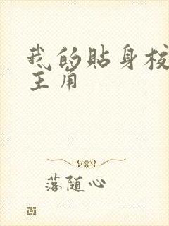 我的贴身校花女主角