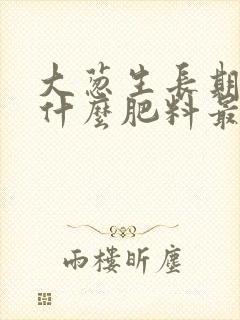 大葱生长期需要什么肥料最佳
