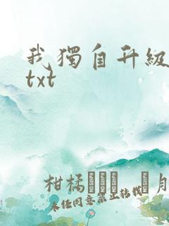 我独自升级原著txt