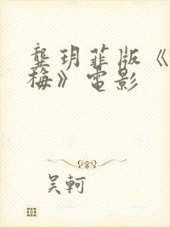 龚玥菲版《新金梅》电影