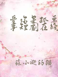 爱你是孤单的心事短剧在线观看
