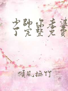 少帅你老婆又跑了完整免费观看