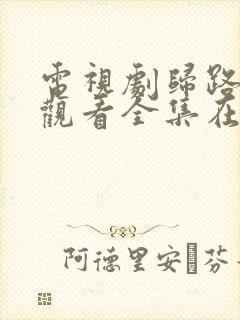 电视剧归路免费观看全集在线播放