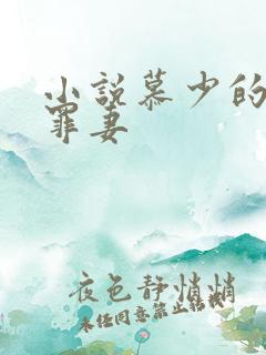小说慕少的隐婚罪妻