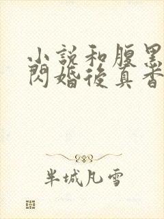 小说和腹黑三叔闪婚后真香了
