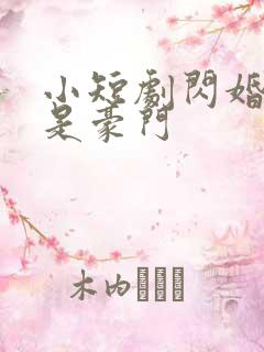 小短剧闪婚老公是豪门
