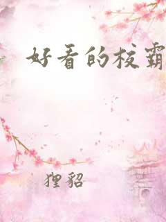 好看的校霸小说