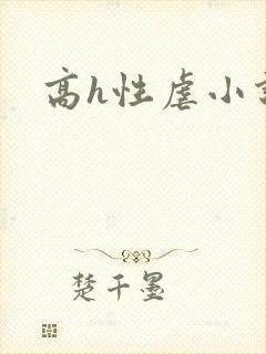 高h性虐小说