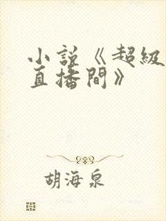小说《超级惊悚直播间》
