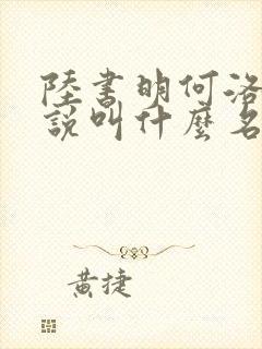 陆书明何洛洛小说叫什么名字