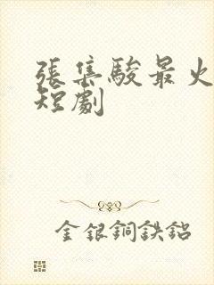 张集骏最火十部短剧