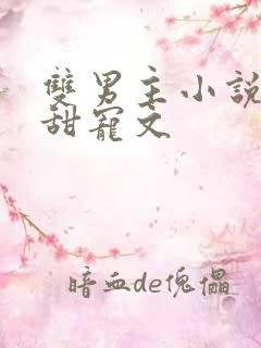 双男主小说推荐甜宠文