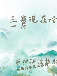 玉米现在啥价钱一斤